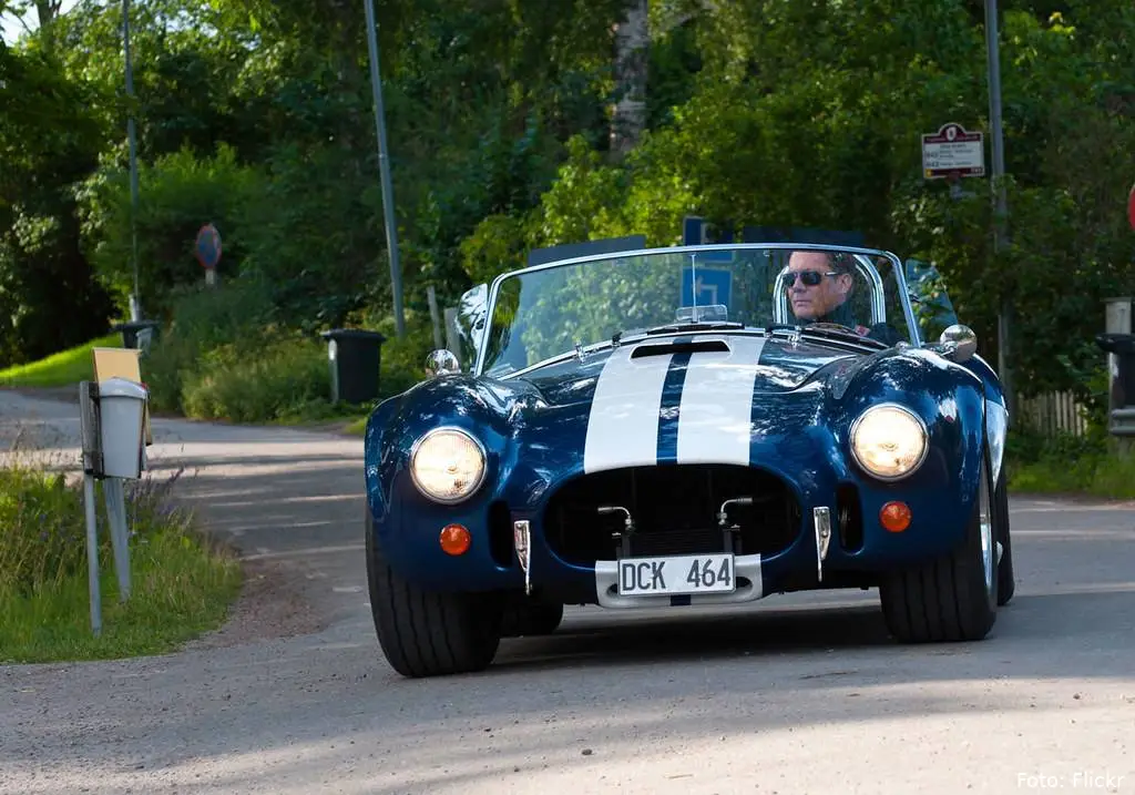 cobra