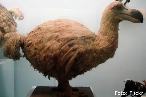 2069235352_61962df450_b