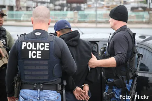 50044720216_6371c07cf0_b