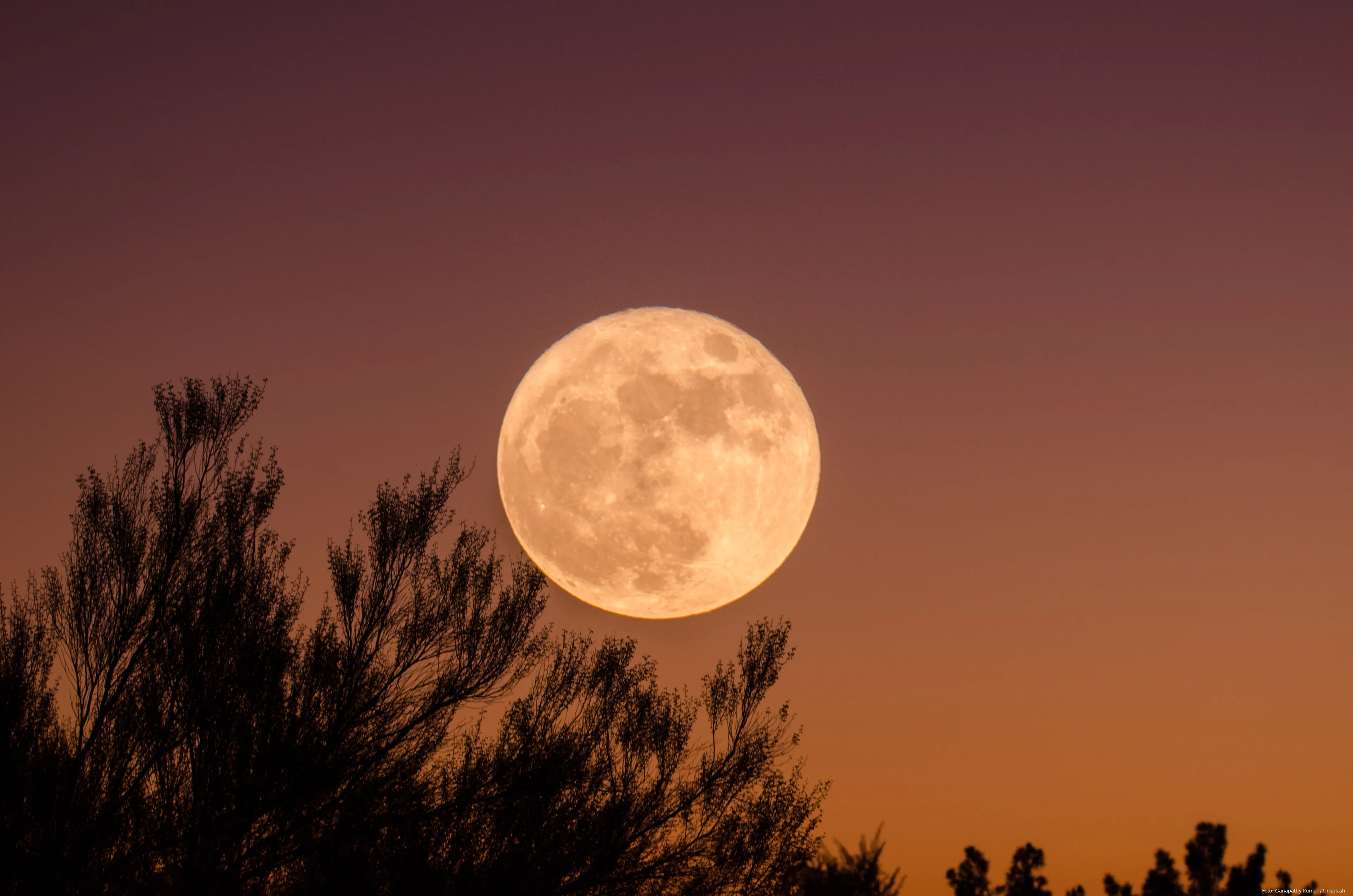 ganapathy kumar 9kbsq91nfwg unsplash