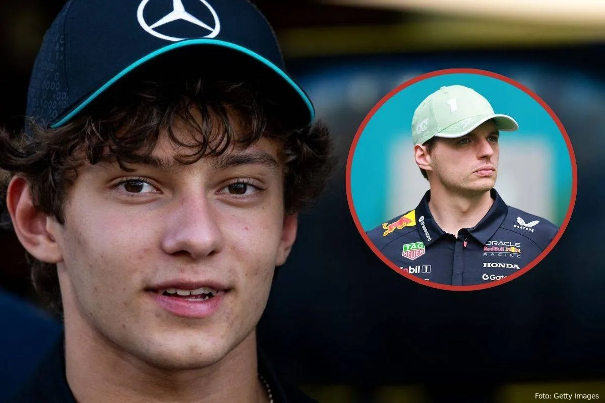 antonelli verstappen
