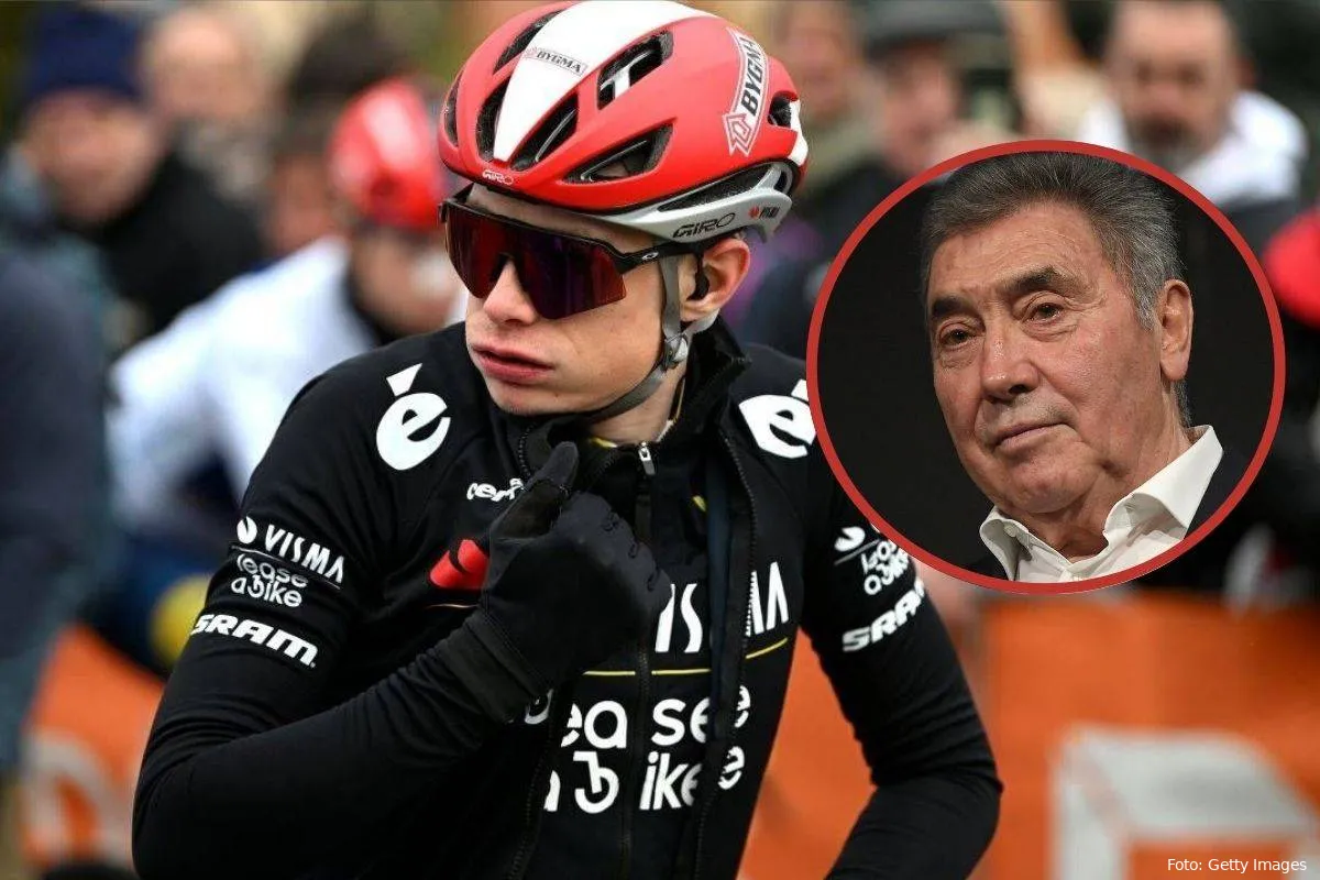 vingegaard merckx