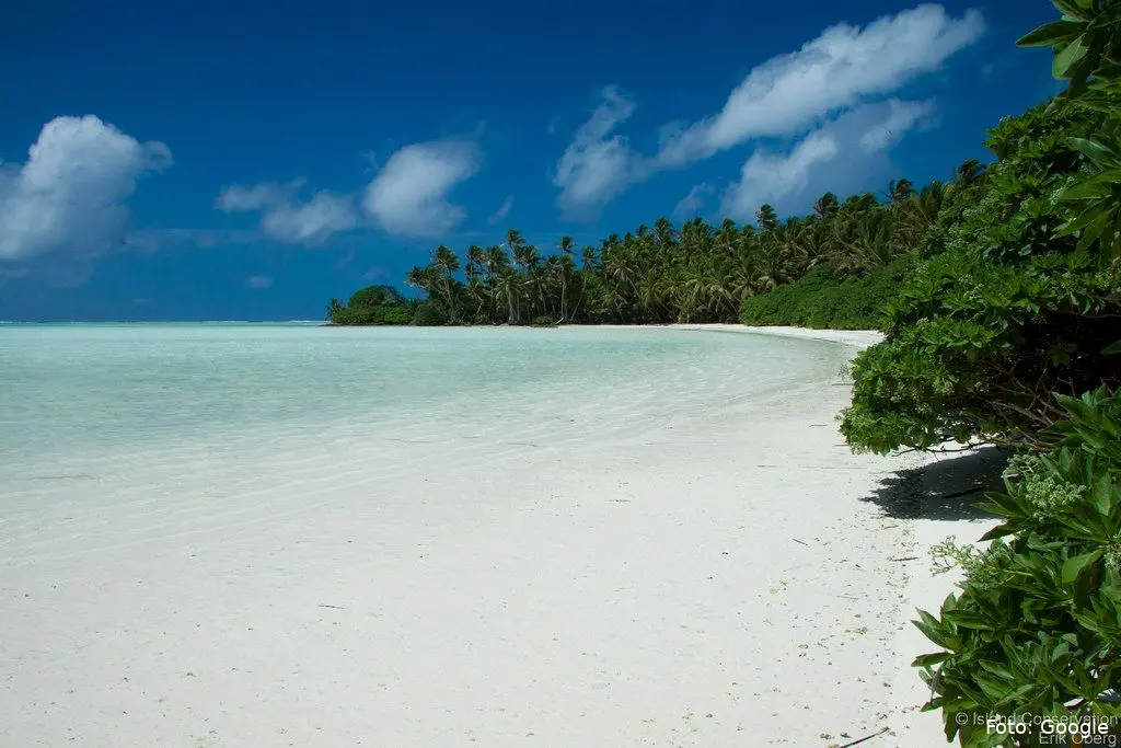 palmyra island