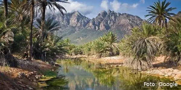 socotra island