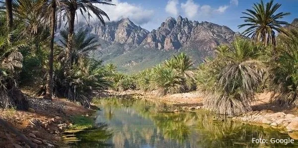 socotra island