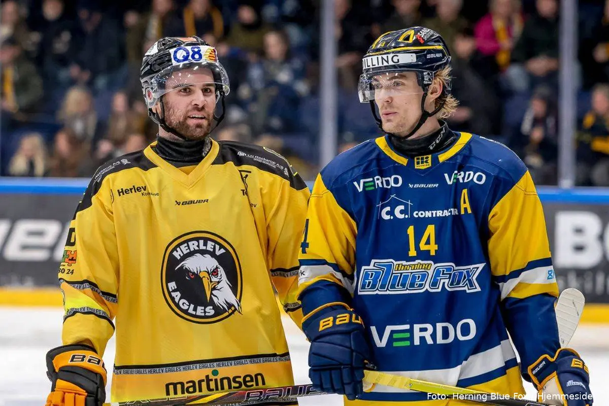 herning blue fox