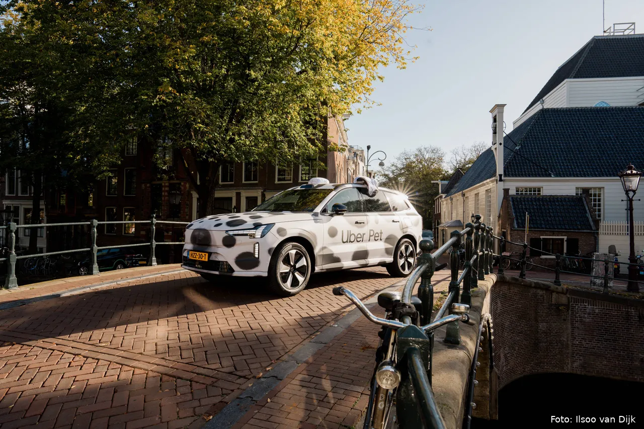 Uber Pet shoot Amsterdam 23092025 ph by @ilsoovandijk-