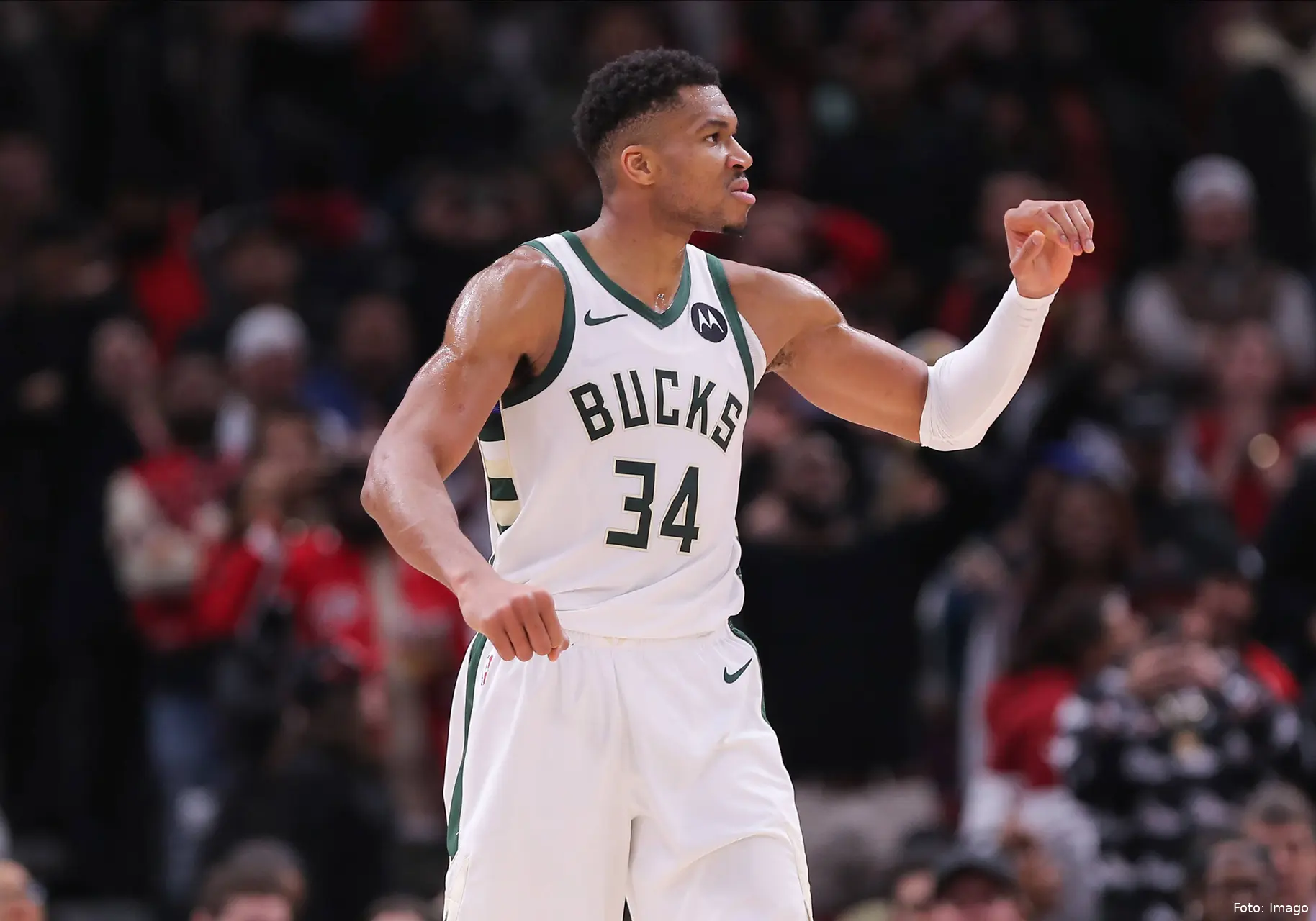 anteto bucks 2