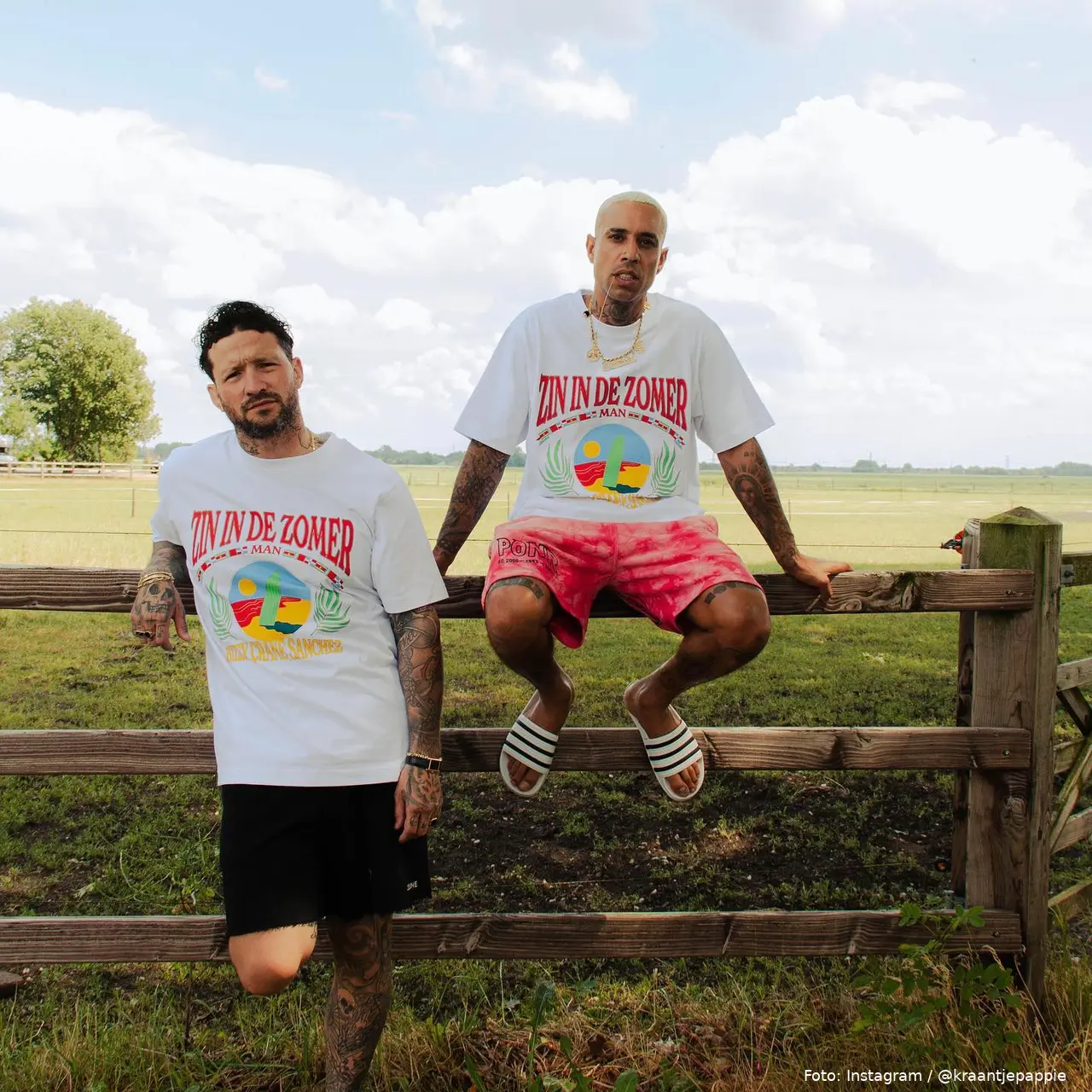 header 12