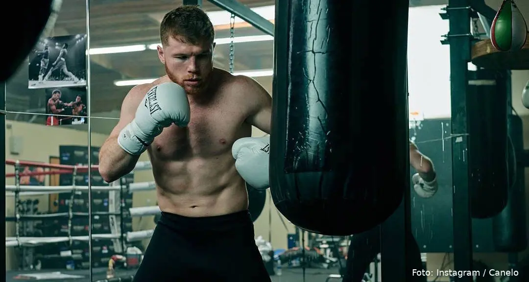 canelo 1