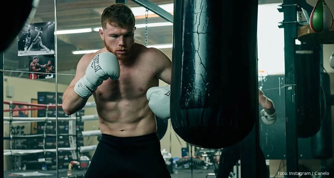 canelo 1