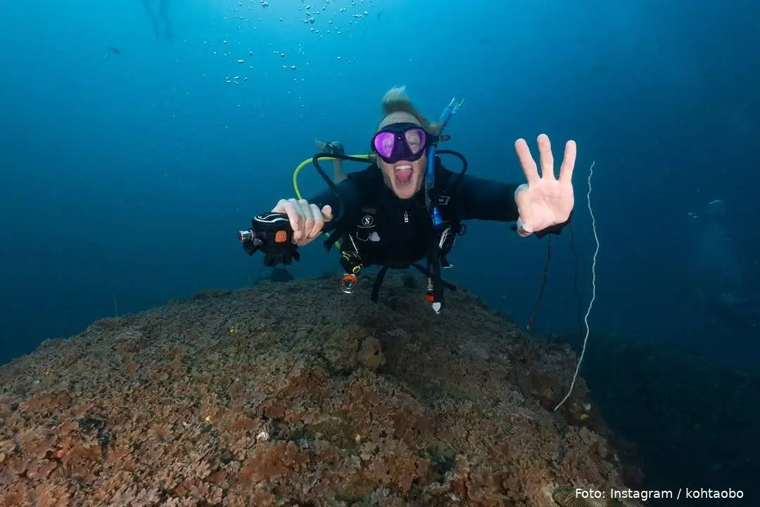 High season + good visibility = 👌🏼👌🏼👌🏼👌🏼 ..@crystaldivekohtao @paditv