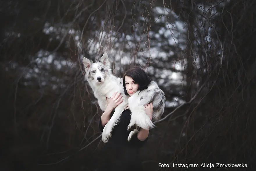soulful portraits of dogs exploring beauty of surreal landscapes 5bb230b1c345b 880