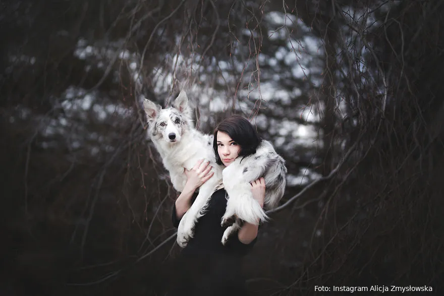 soulful portraits of dogs exploring beauty of surreal landscapes 5bb230b1c345b 880