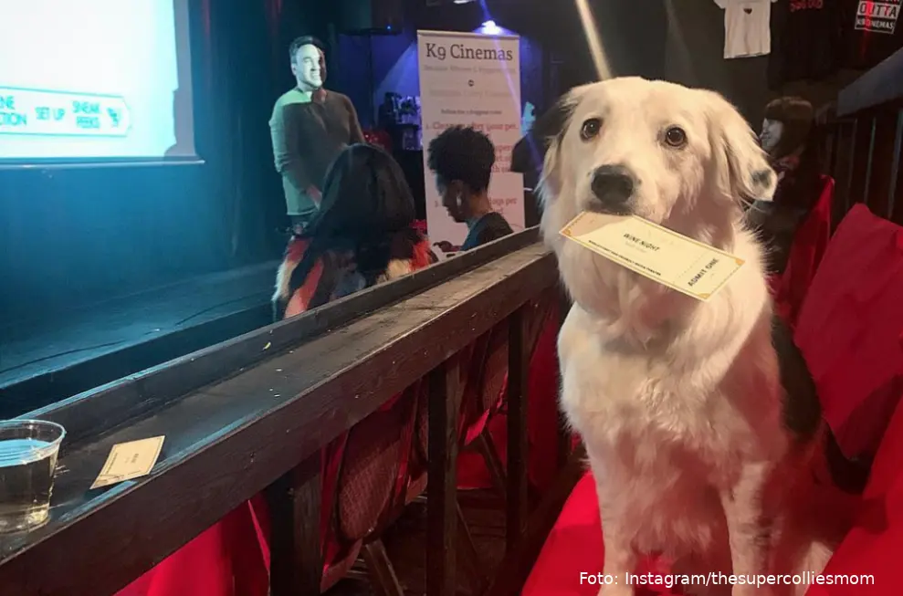 fhm hond bioscoop 1