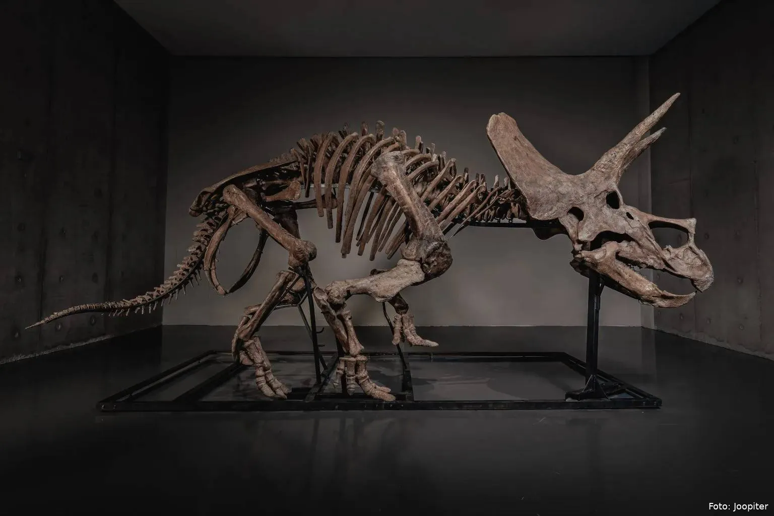 01-JOOPITER-TREY_Hero-Right-Profile-1536x1024