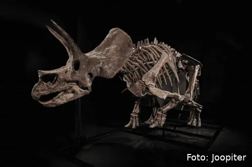 02-JOOPITER-TREY_Hero-Left-Profile-ed-1024x683