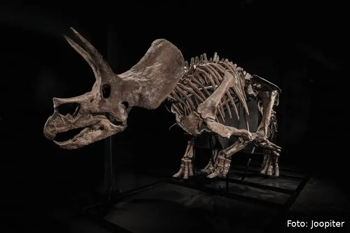 02-JOOPITER-TREY_Hero-Left-Profile-ed-1024x683