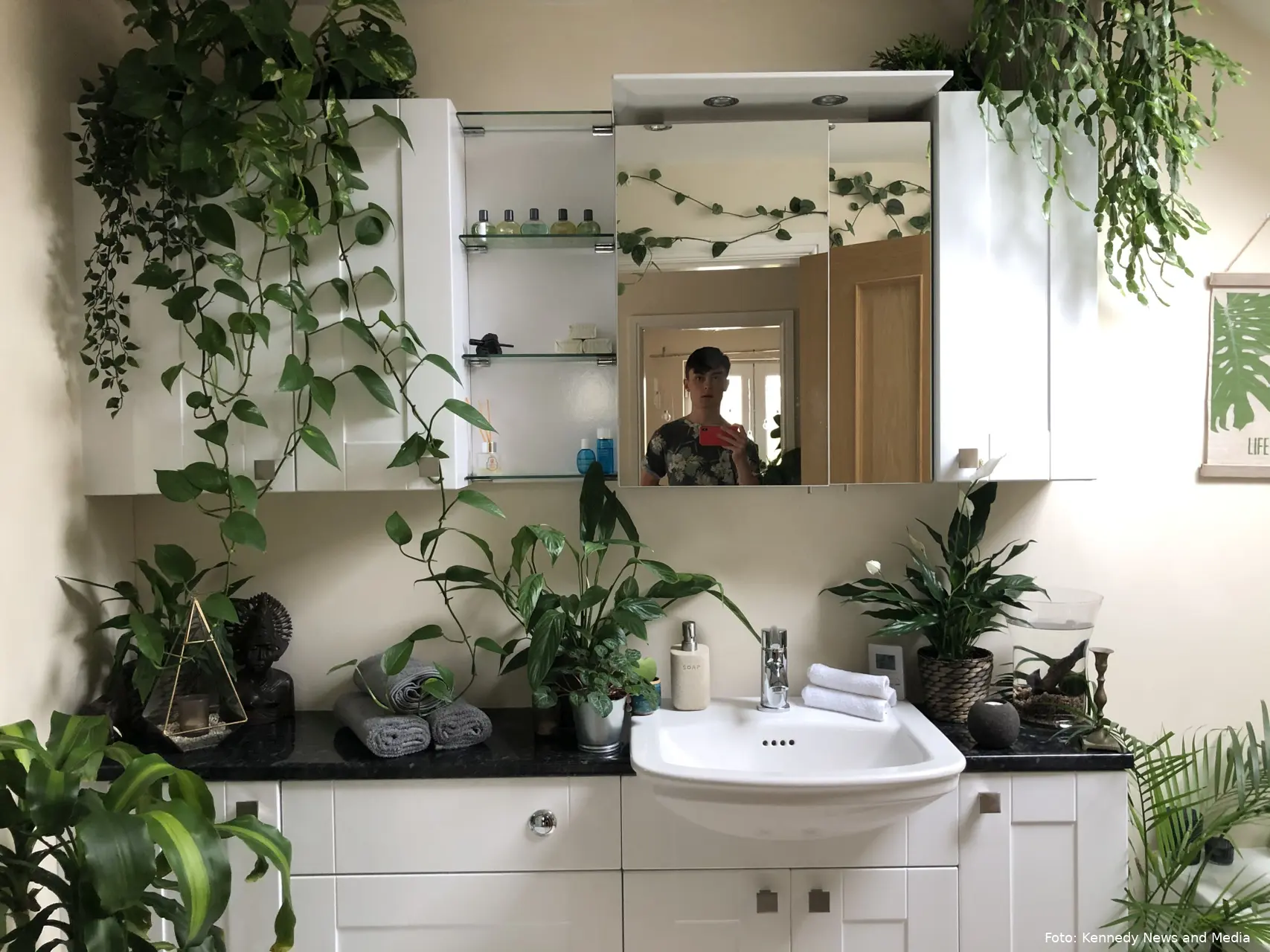 knm jungle boys 1400 houseplants 6