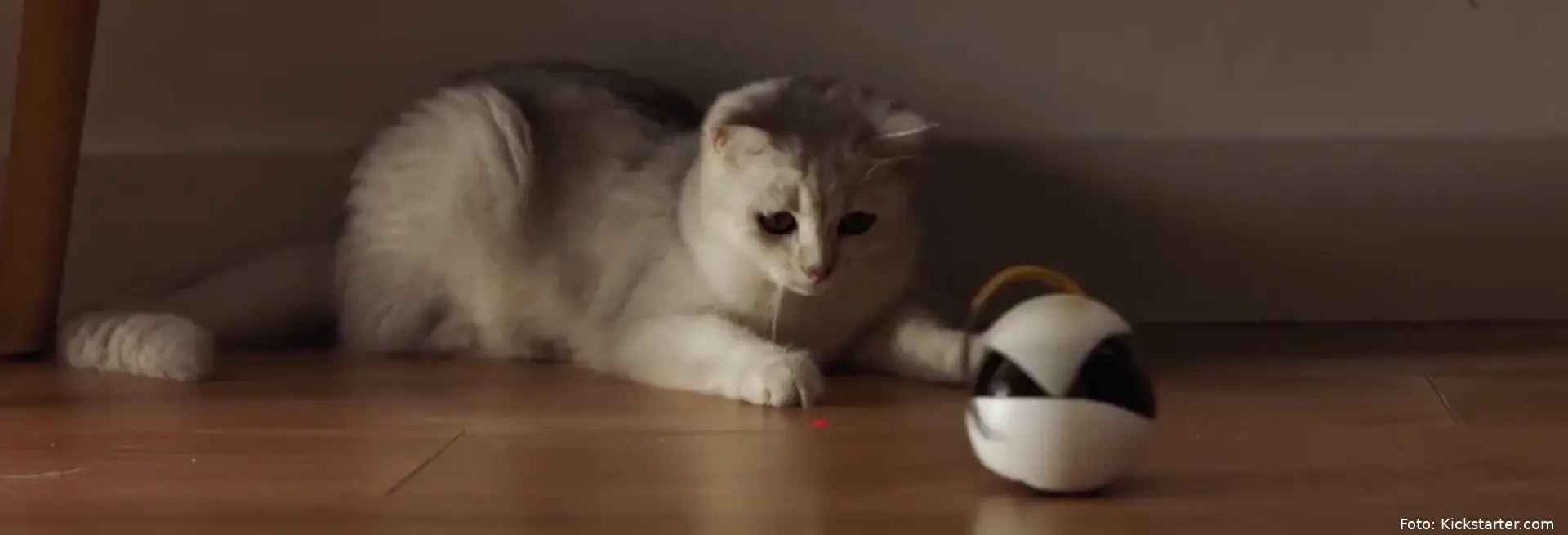 kat