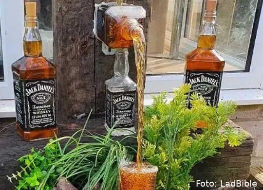 jack 1