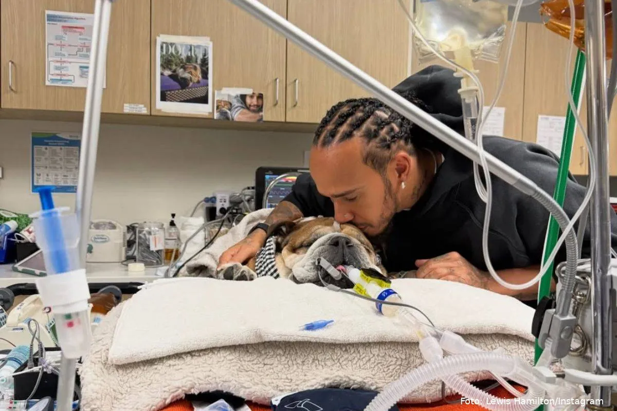 <i>Lewis Hamilton og Roscoe i én af de sidste stunder på hospitalet.</i>