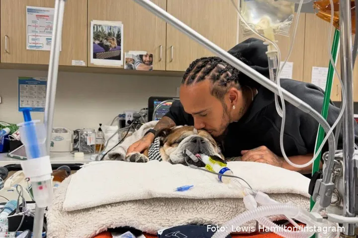 <i>Lewis Hamilton og Roscoe i én af de sidste stunder på hospitalet.</i>