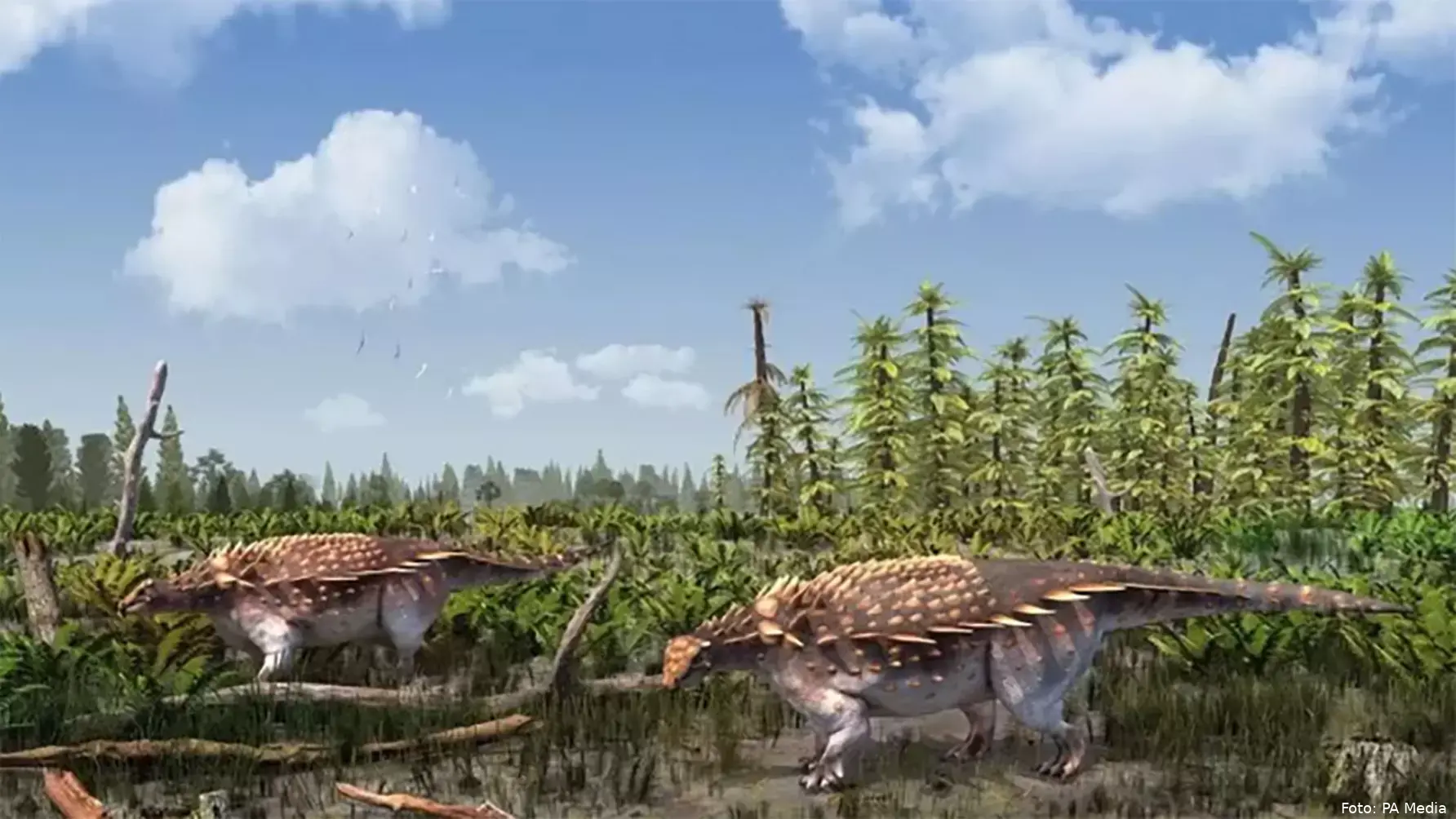 nieuwe dinosaurussoort isle of wight vectipelta barretti