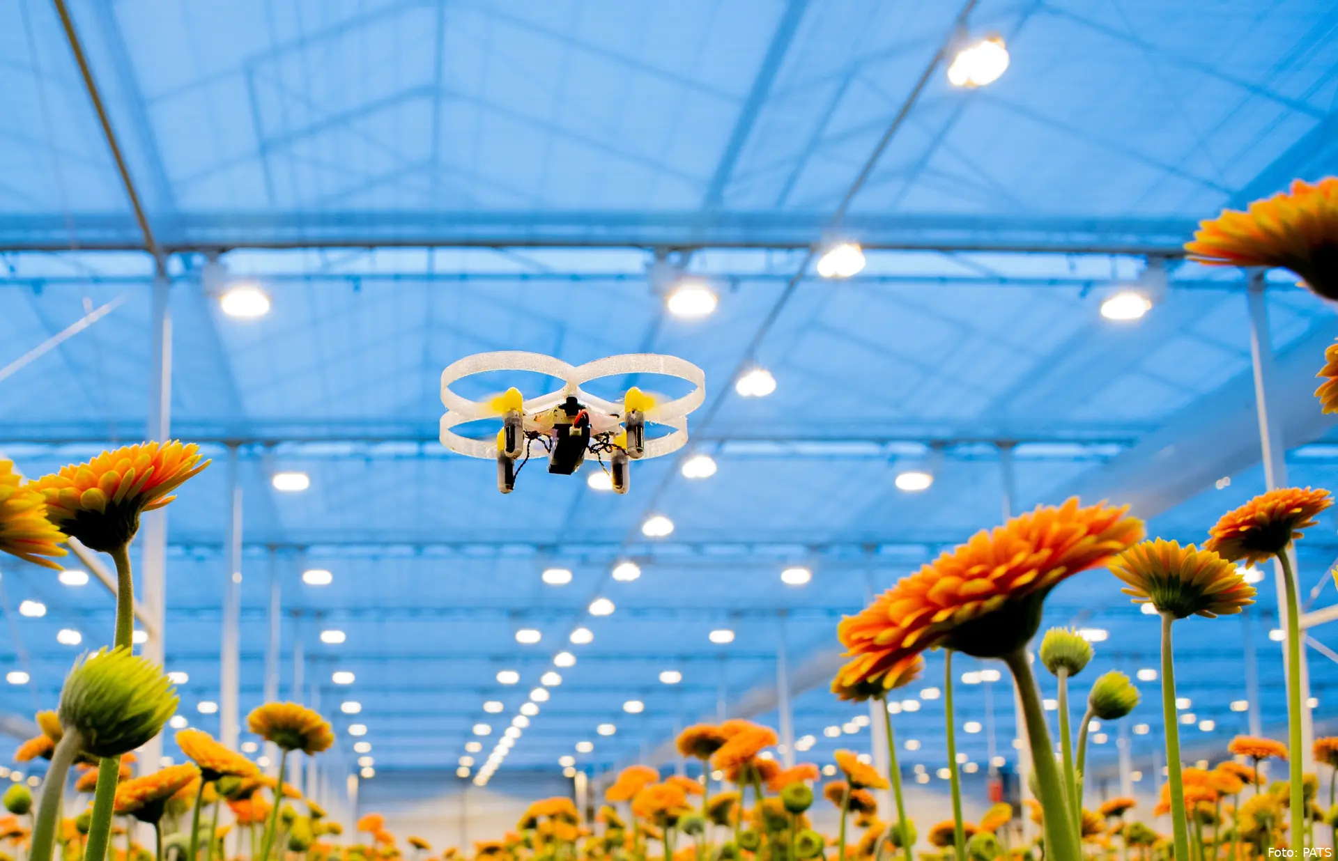 banner drone