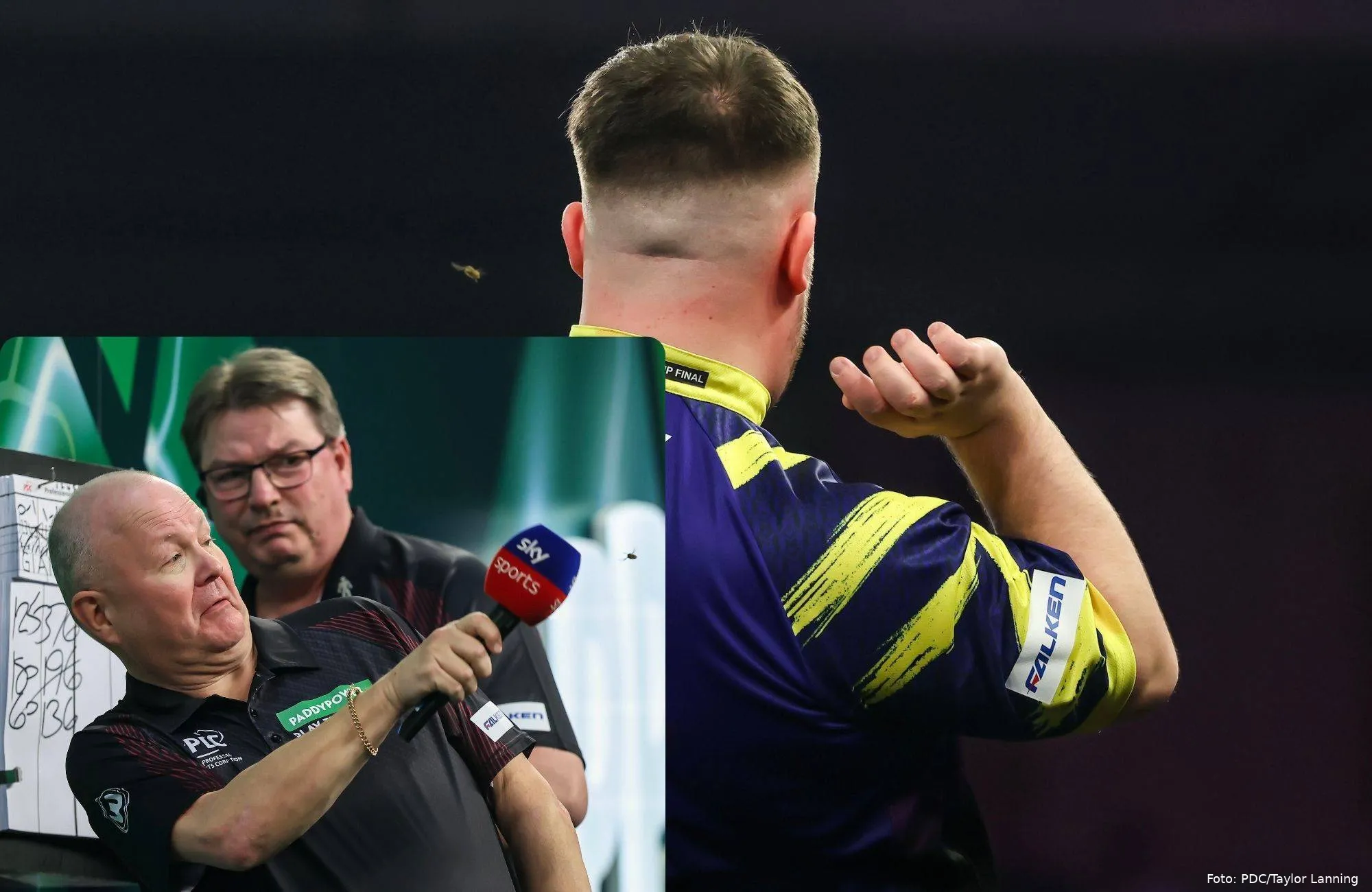 De Ally pally wesp, (Ally Pally wasp) in actie