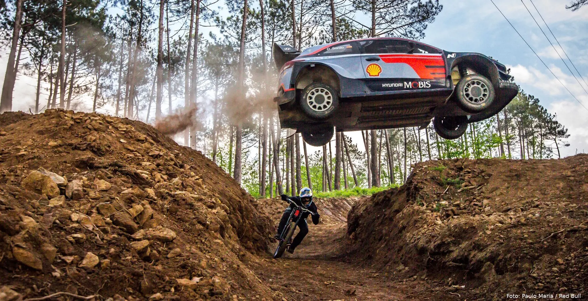 paulo maria red bull