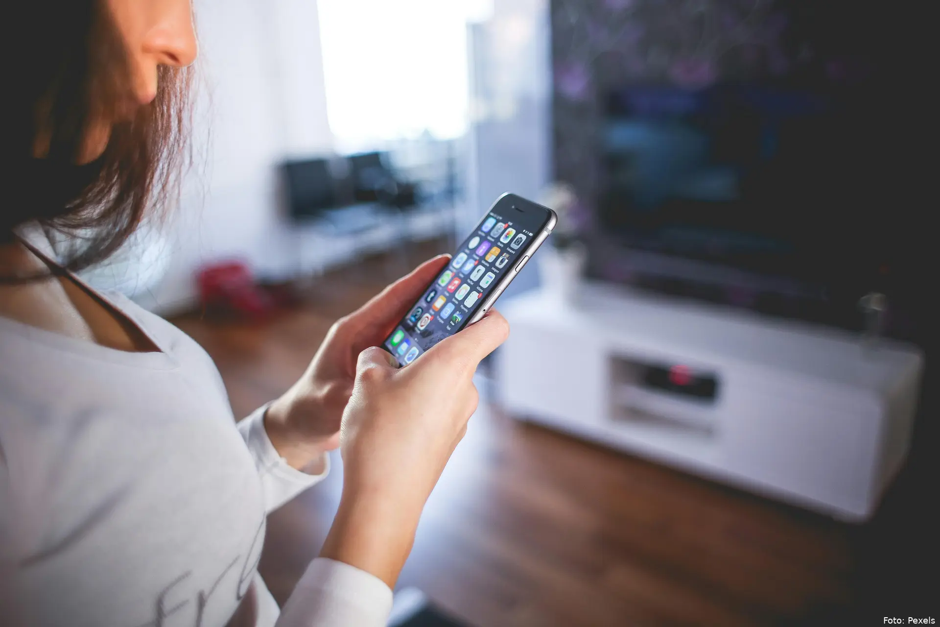 pexels picjumbocom 225232
