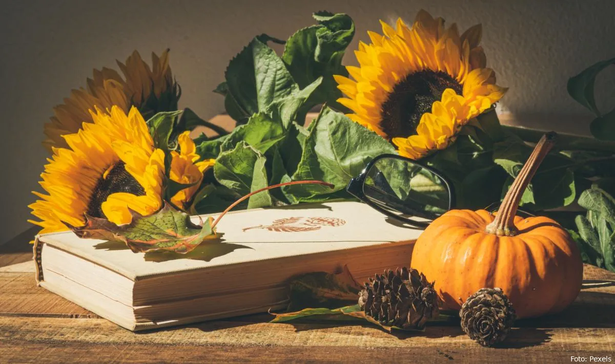 herfstdecoratie decoratie gezellig zonnebloem