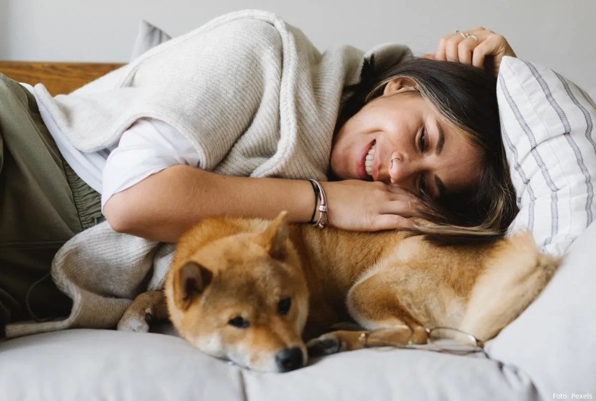 hond hond en mens gezellig in de zetel rusten huisdieren huis en tuin