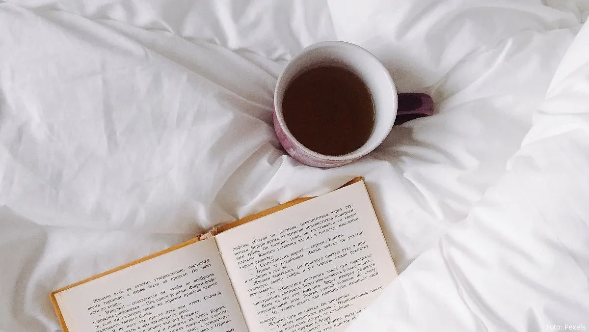 thee slapen boek bed gaan slapen