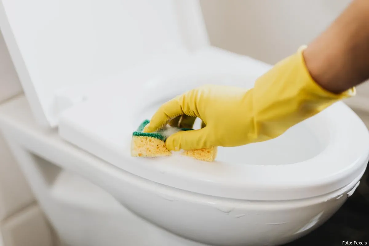 wc toilet reinigen wc poetsen rubbere handschoenen schuursponsje