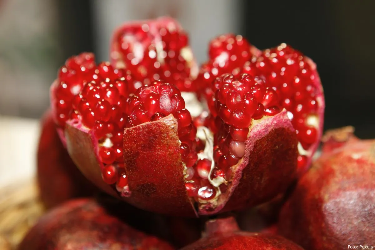 granaatappel fruit eten gezondheid