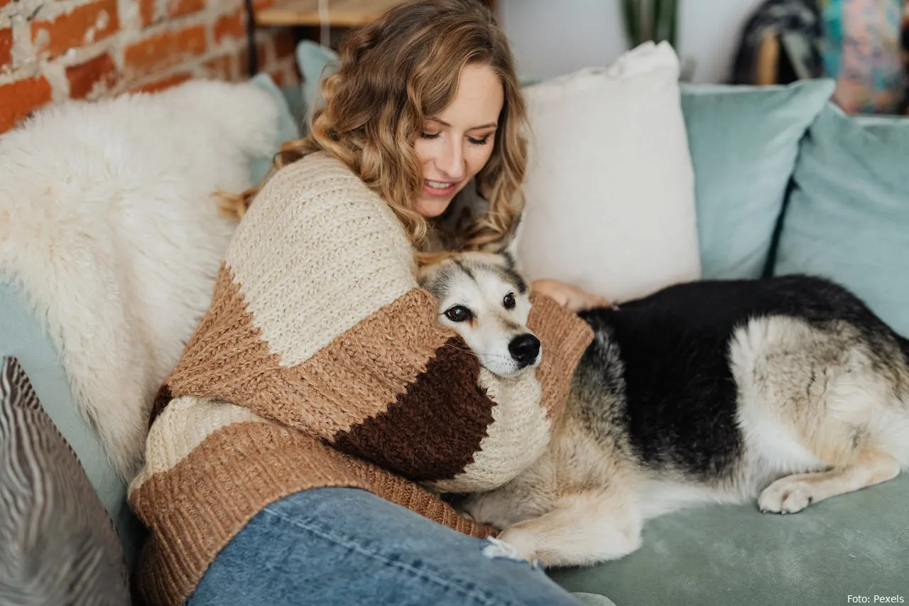 hond en baasje hond op zetel hondenhaar reinigen dieren honden