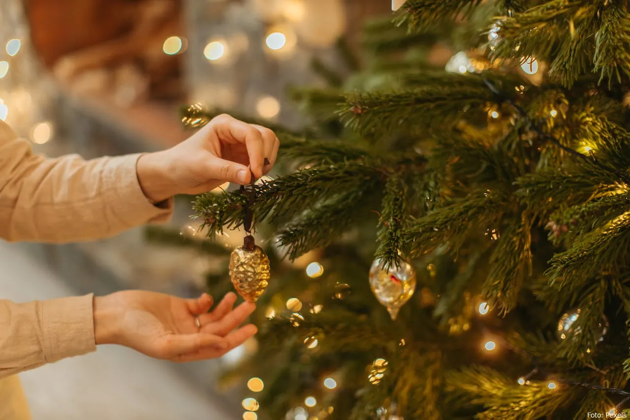 kerstboom huis en tuin