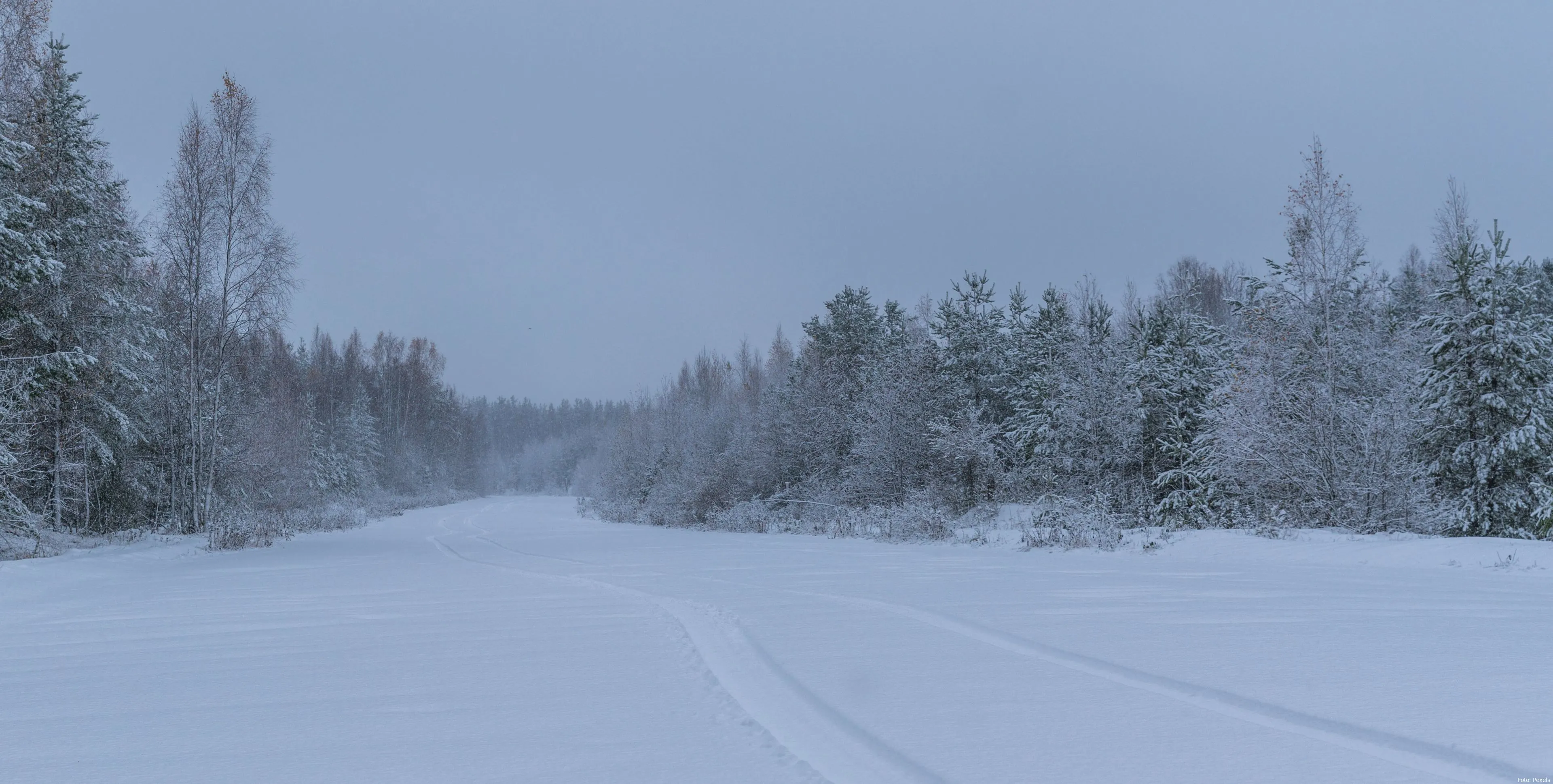 sneeuw landschap sneeuw koude vries