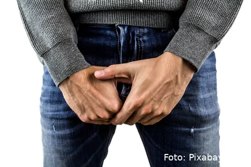 penis