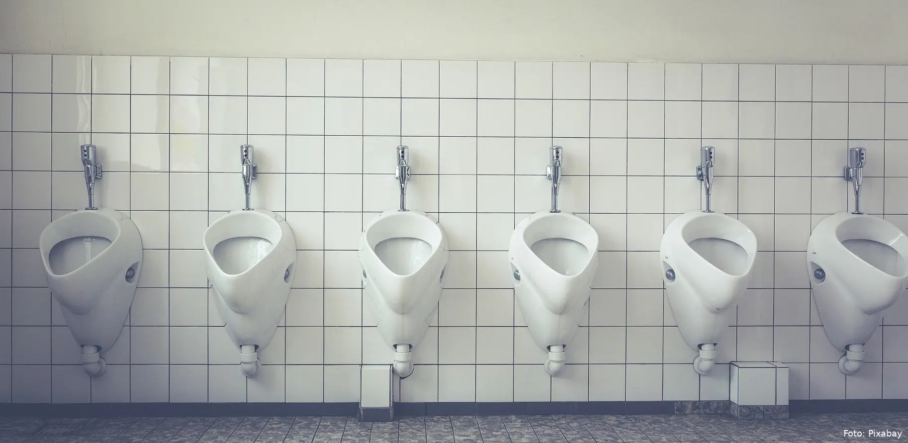 toilet g6981e48ca 1920