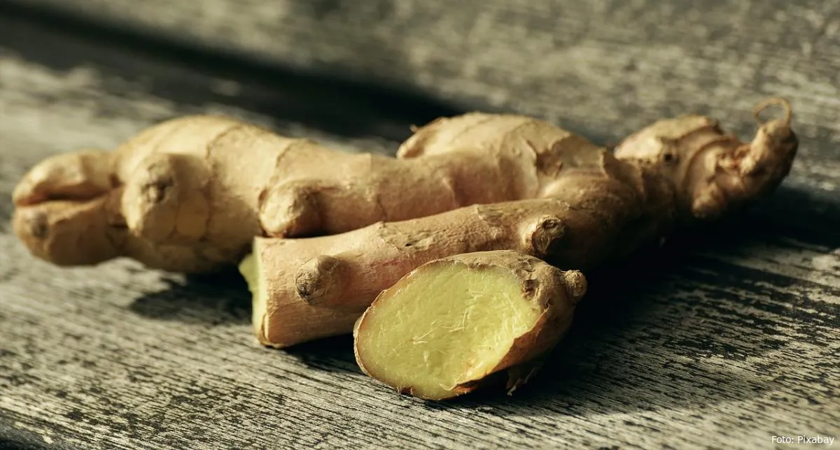 gember gember thee geneeskrachtige wortel wortel culinair