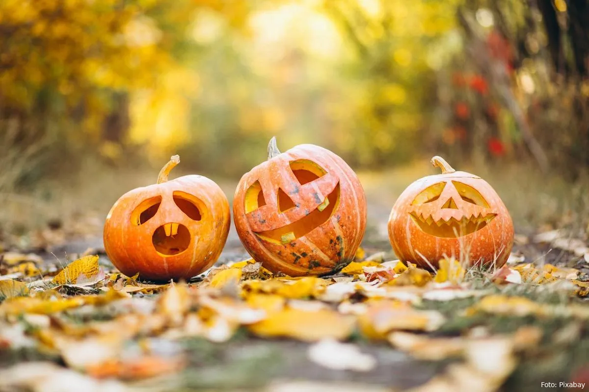 halloween pompoen pompoen