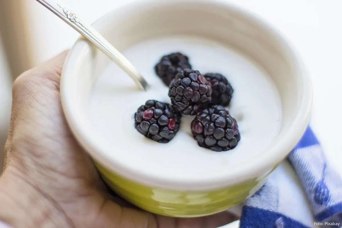 yoghurt witte yoghurt met bessen ontbijt zuivel melkproduct