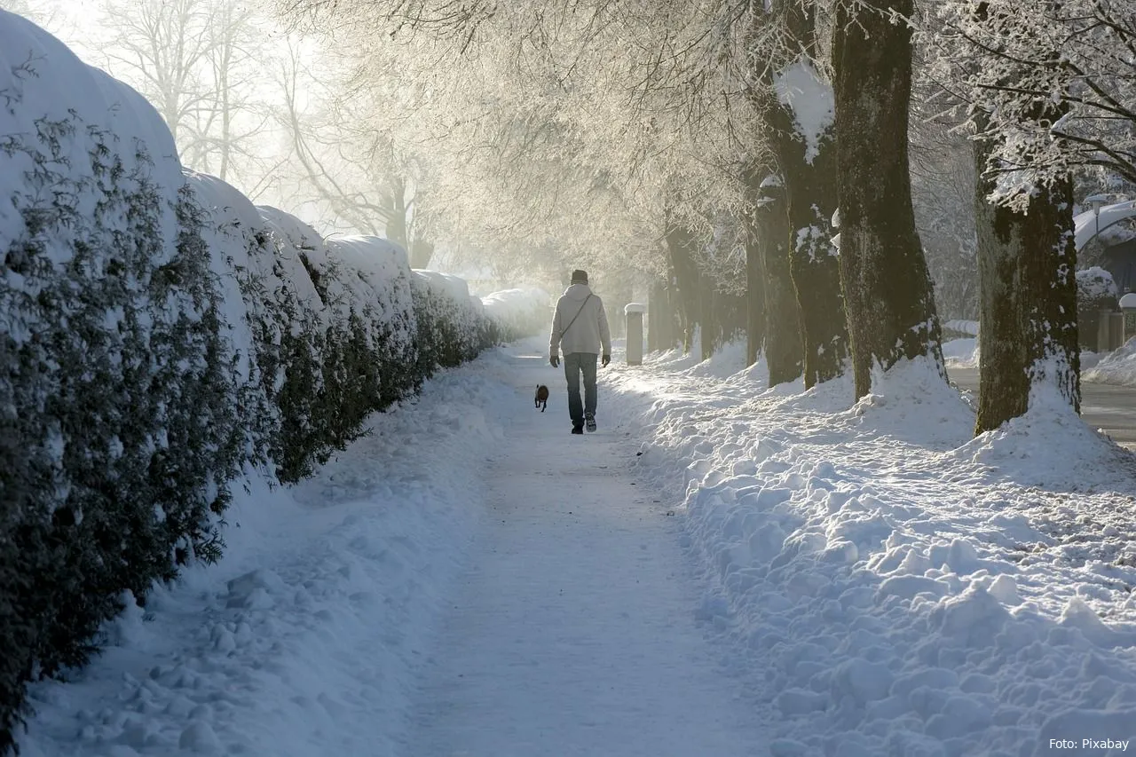 sneeuw wandeling vrieskou buiten winter wandeling