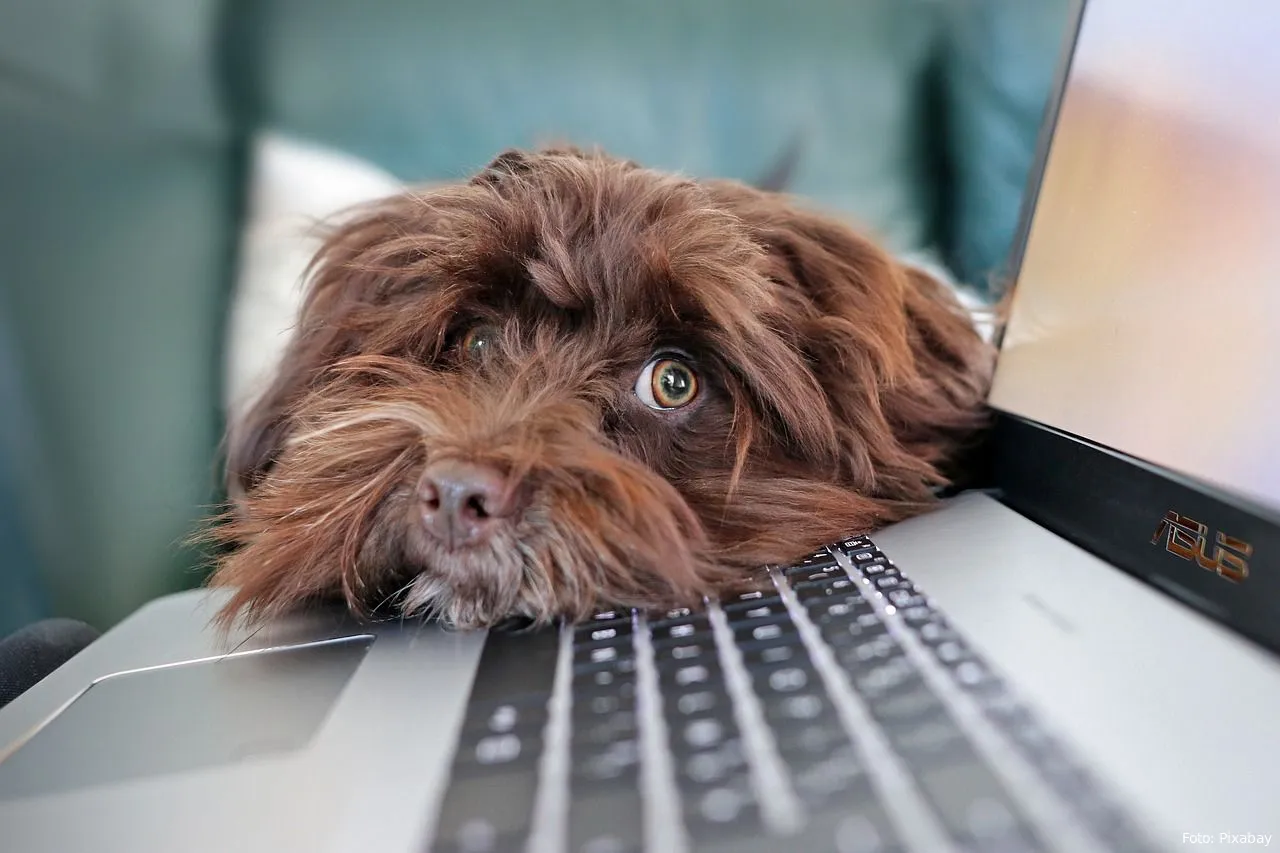 toetsenbord laptop werk reinigen