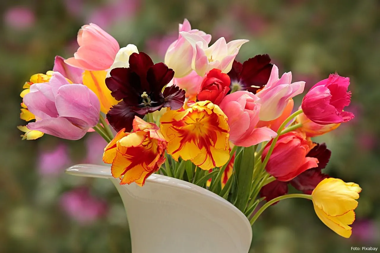 bloemen snijbloemen in vaas planten en bloemen huis decoratie