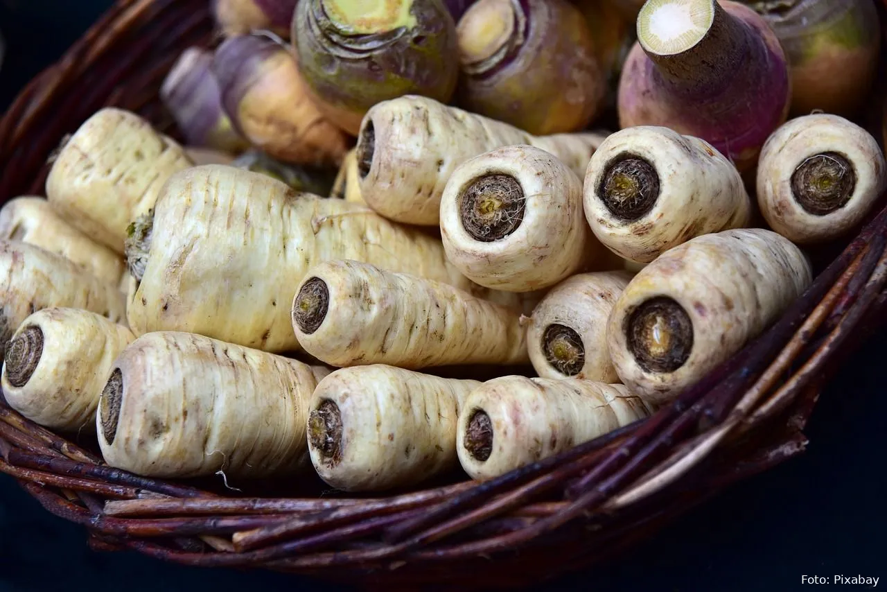 pastinaak groete eten gezondheid recept