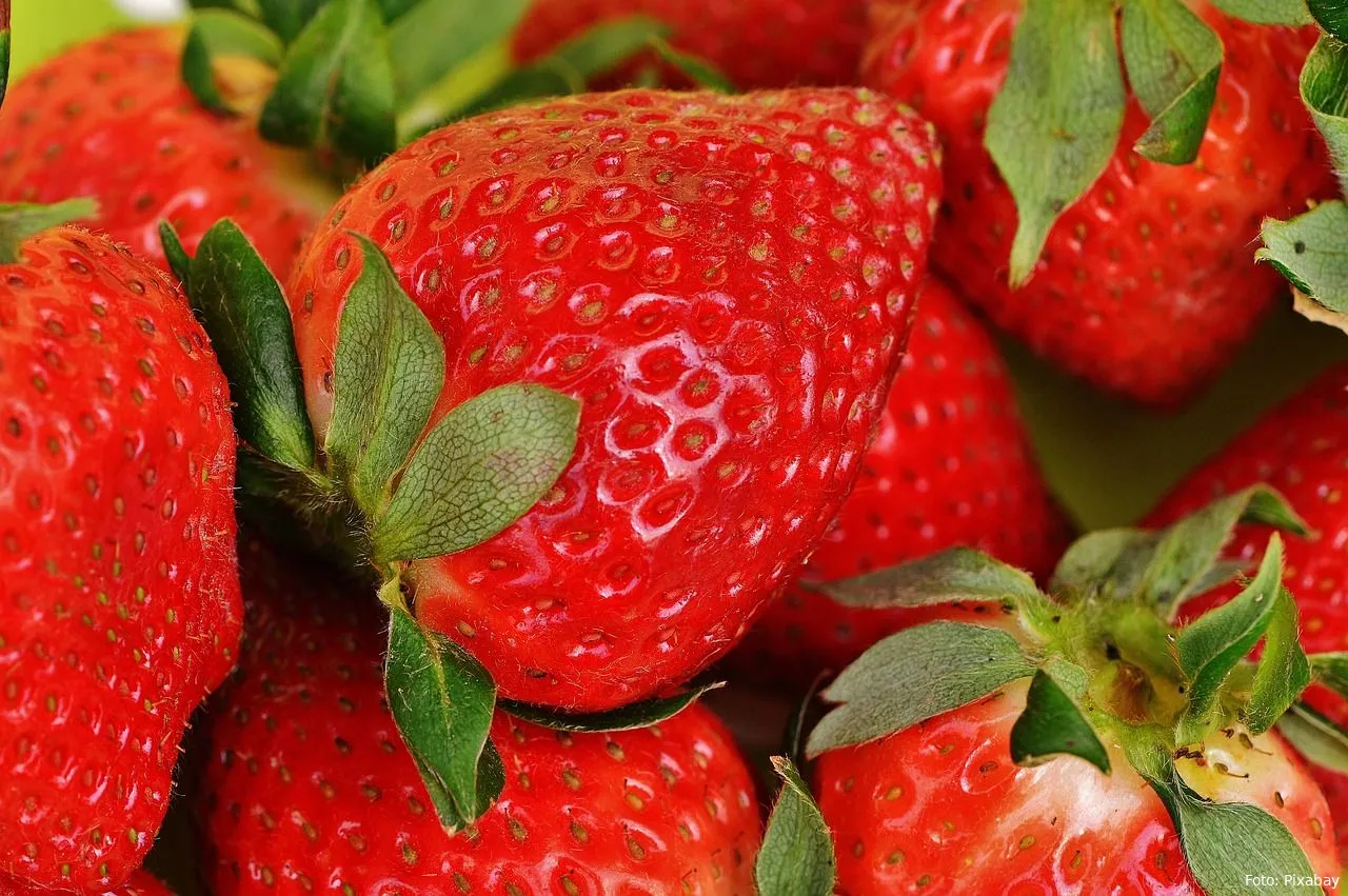aardbeien eten fruit gezondheid